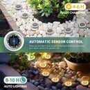 Limited Deal: 20% OFF Solar Ground Lights (2 Pack) | Waterproof & Outdoor Ready